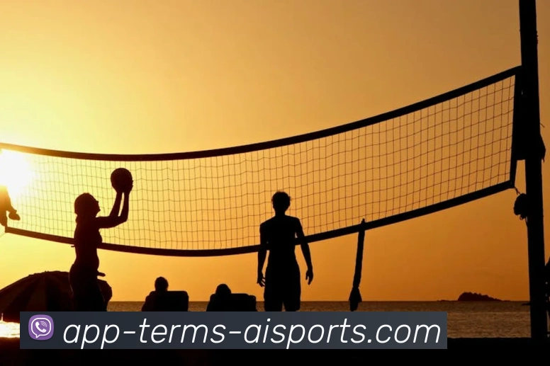 爱体育APP服务体系